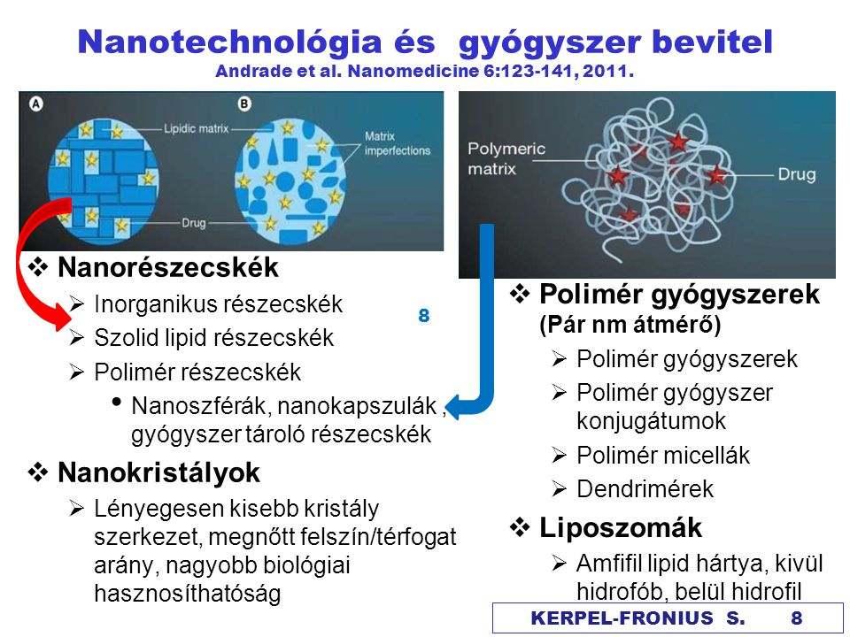 Nanotechnológia és gyógyszer bevitel Andrade et al