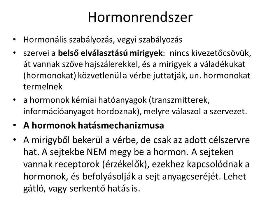 A leszokók hormonális zavarai