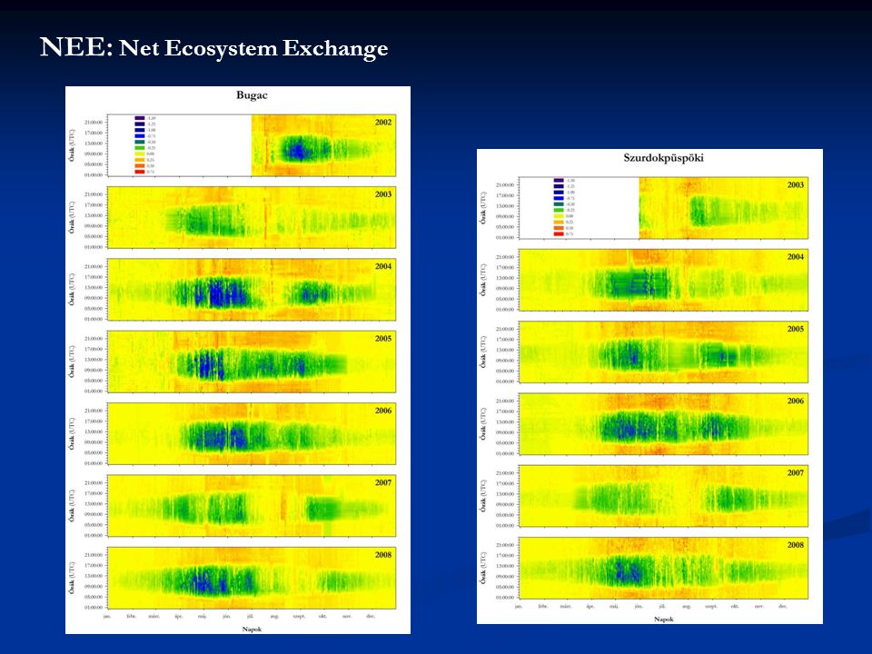 NEE: Net Ecosystem Exchange