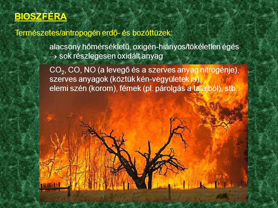 BIOSZFÉRA Természetes/antropogén erdő- és bozóttüzek: