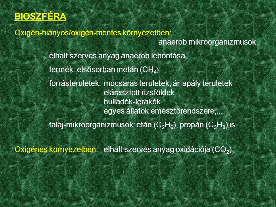 BIOSZFÉRA Oxigén-hiányos/oxigén-mentes környezetben: anaerob mikroorganizmusok. elhalt szerves anyag anaerob lebontása.