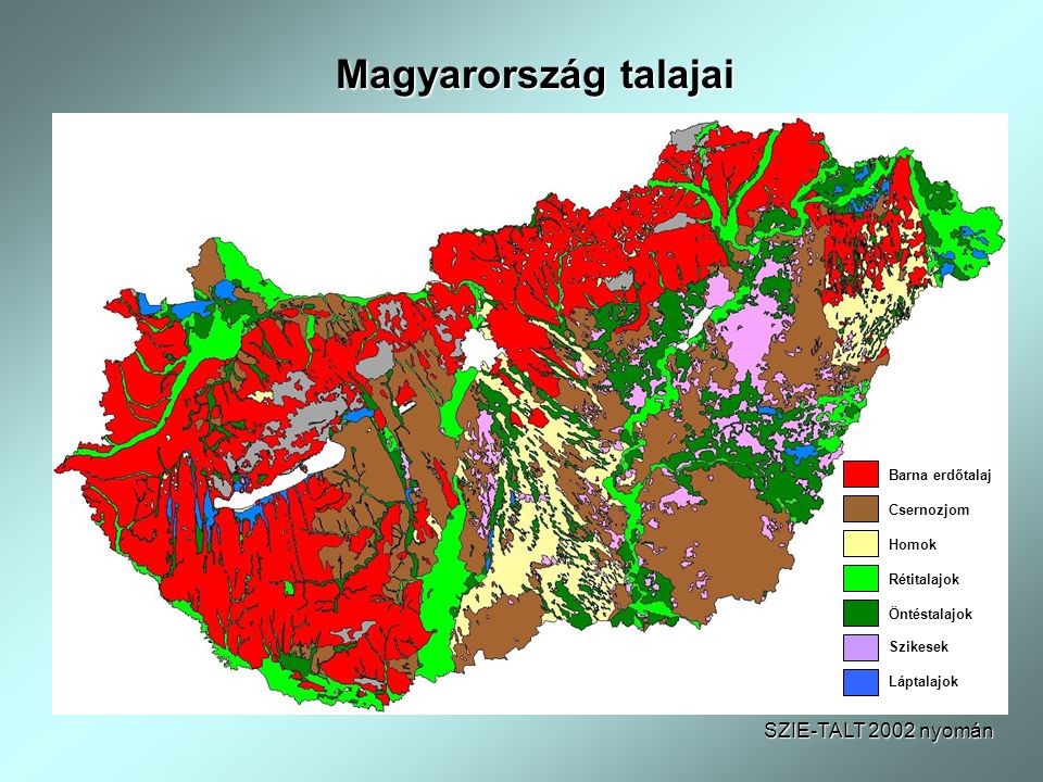 Magyarország talajai SZIE-TALT 2002 nyomán Barna erdőtalaj Csernozjom