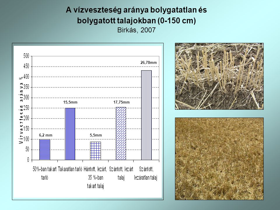 A vízveszteség aránya bolygatatlan és bolygatott talajokban (0-150 cm)