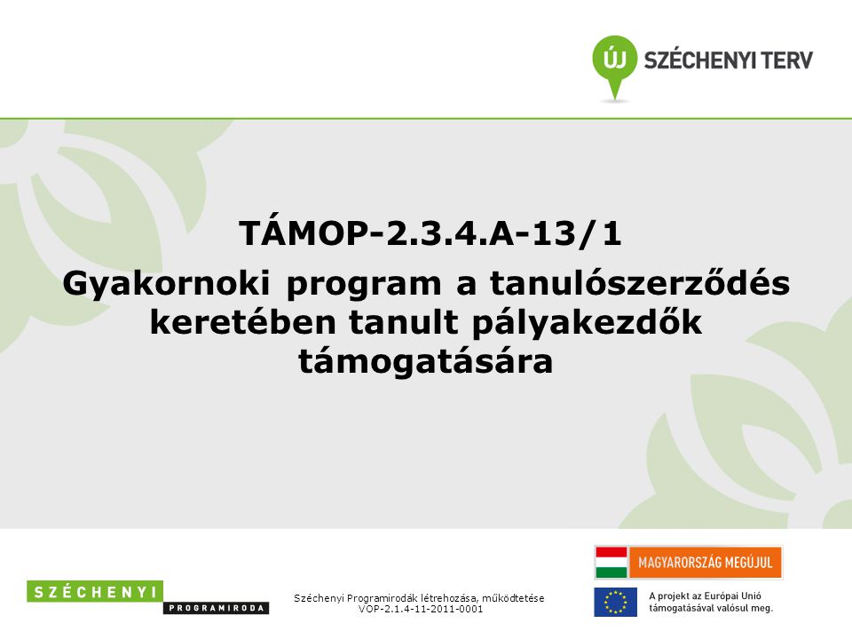 TÁMOP A-13/1 Gyakornoki program a tanulószerződés keretében tanult pályakezdők támogatására. Széchenyi Programirodák létrehozása, működtetése.