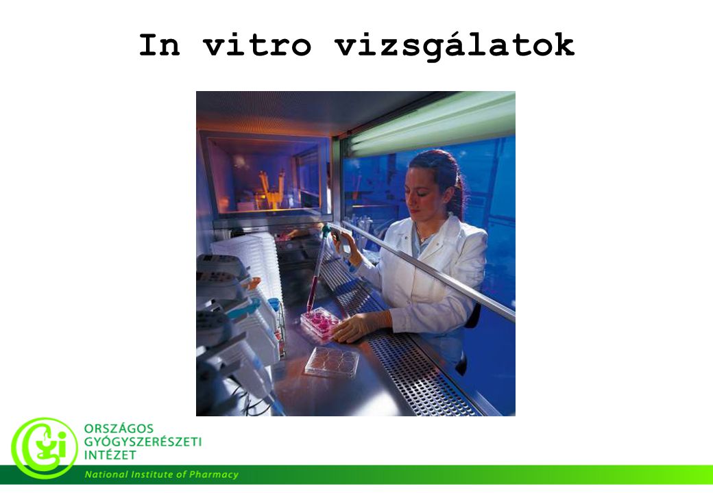 In vitro vizsgálatok