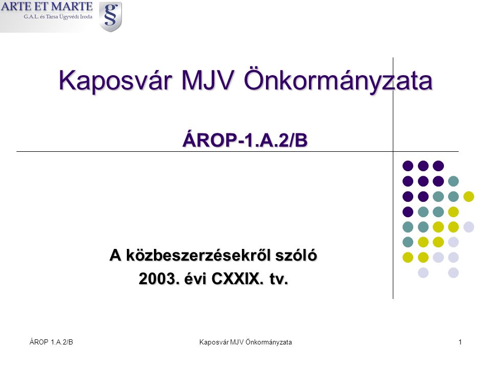 Kaposvár MJV Önkormányzata ÁROP-1.A.2/B