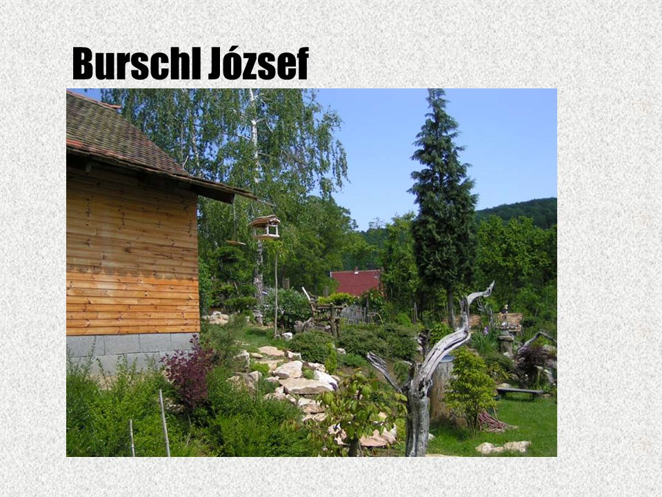 Burschl József