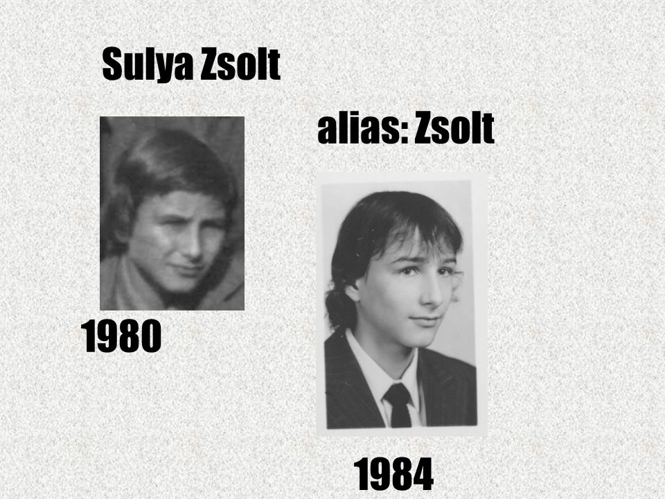 Sulya Zsolt alias: Zsolt