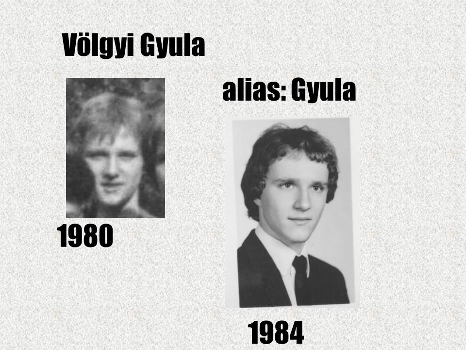 Völgyi Gyula alias: Gyula