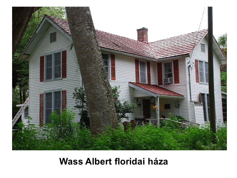 Wass Albert floridai háza