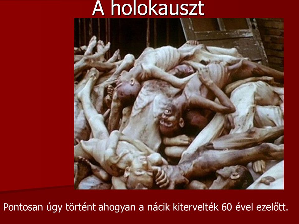 A holokauszt Pontosan úgy történt ahogyan a nácik kitervelték 60 ével ezelőtt.