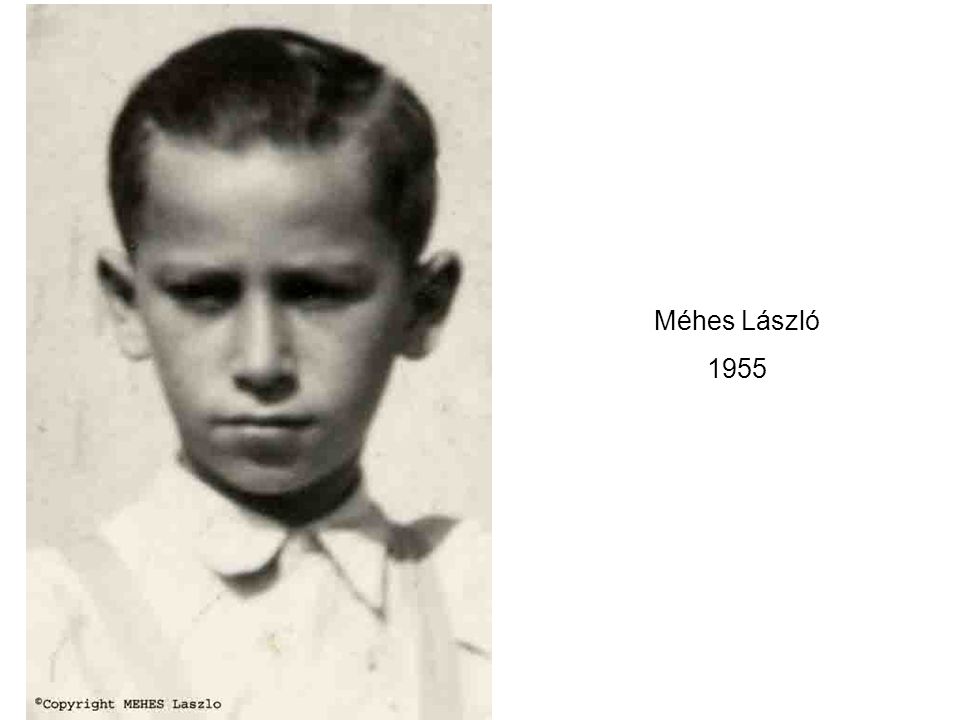 Méhes László 1955