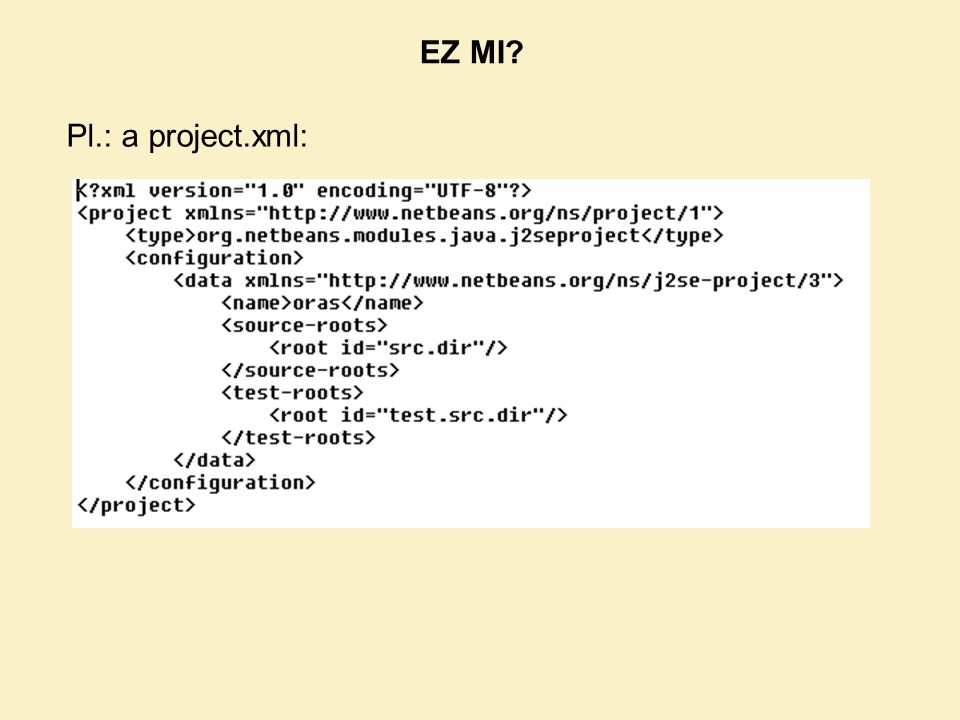EZ MI Pl.: a project.xml: