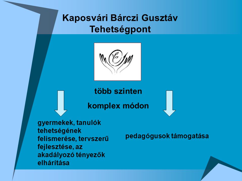 Kaposvári Bárczi Gusztáv Tehetségpont