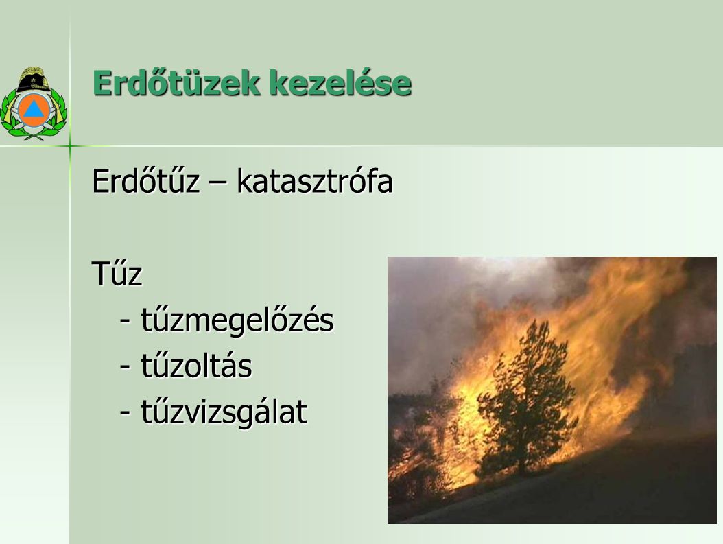 Erdőtüzek kezelése Erdőtűz – katasztrófa Tűz - tűzmegelőzés - tűzoltás - tűzvizsgálat
