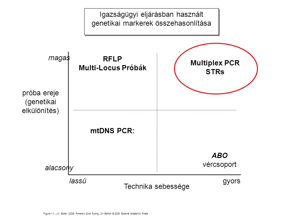 RFLP Multi-Locus Próbák ABO Multiplex PCR STRs mtDNS PCR: