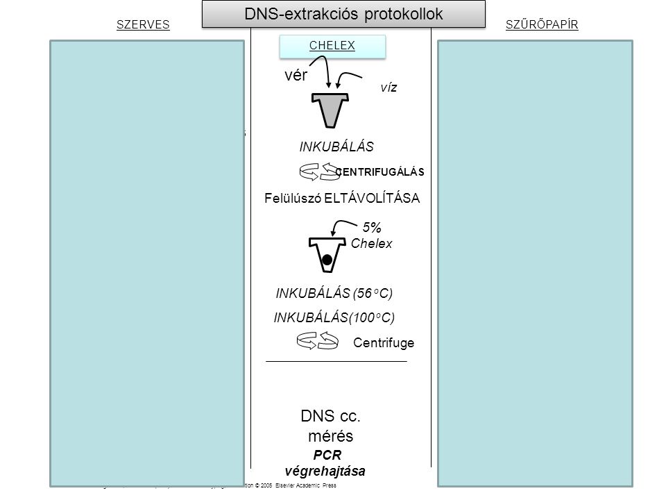 DNS-extrakciós protokollok
