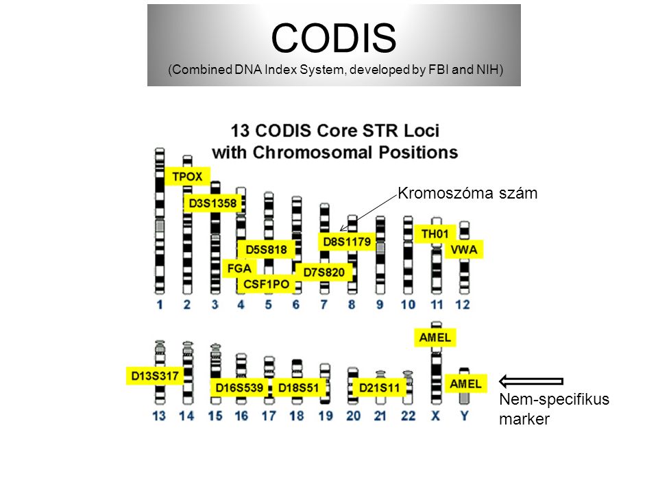CODIS (Combined DNA Index System, developed by FBI and NIH)