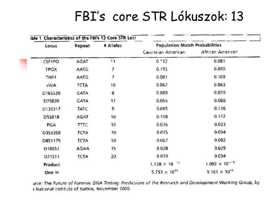 FBI’s core STR Lókuszok: 13