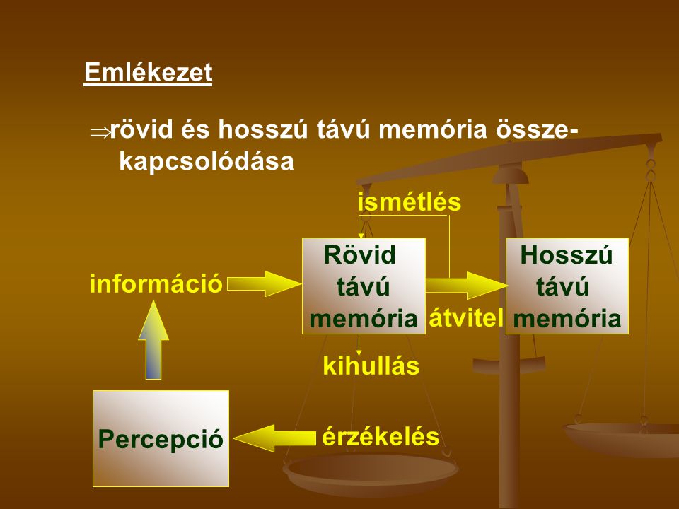 Emlékezet ismétlés Rövid távú memória Hosszú távú memória információ