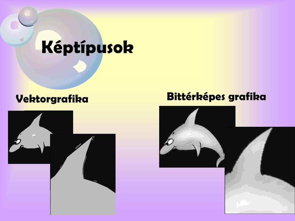 Képtípusok Bittérképes grafika Vektorgrafika