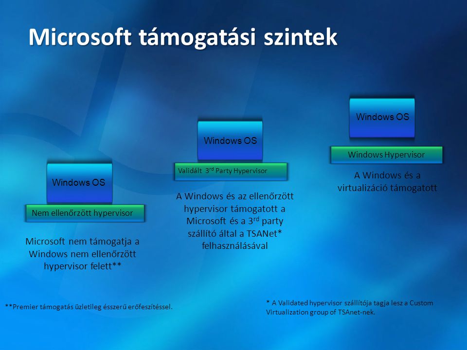 Microsoft támogatási szintek