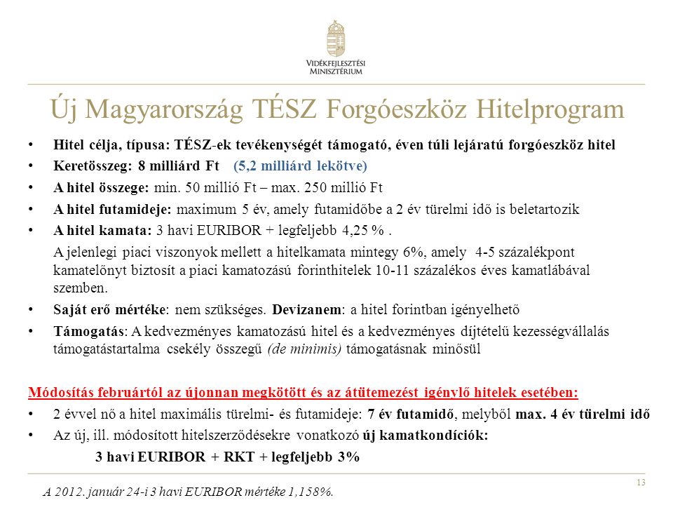 Új Magyarország TÉSZ Forgóeszköz Hitelprogram