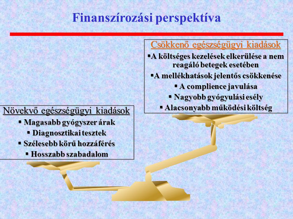 Finanszírozási perspektíva
