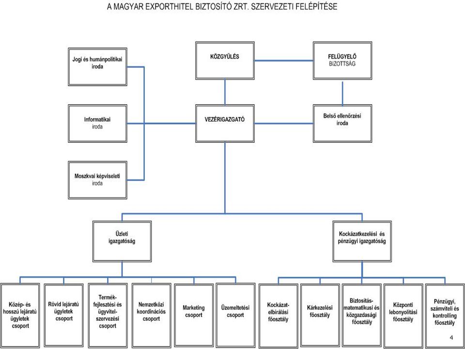 Szervezeti struktúra