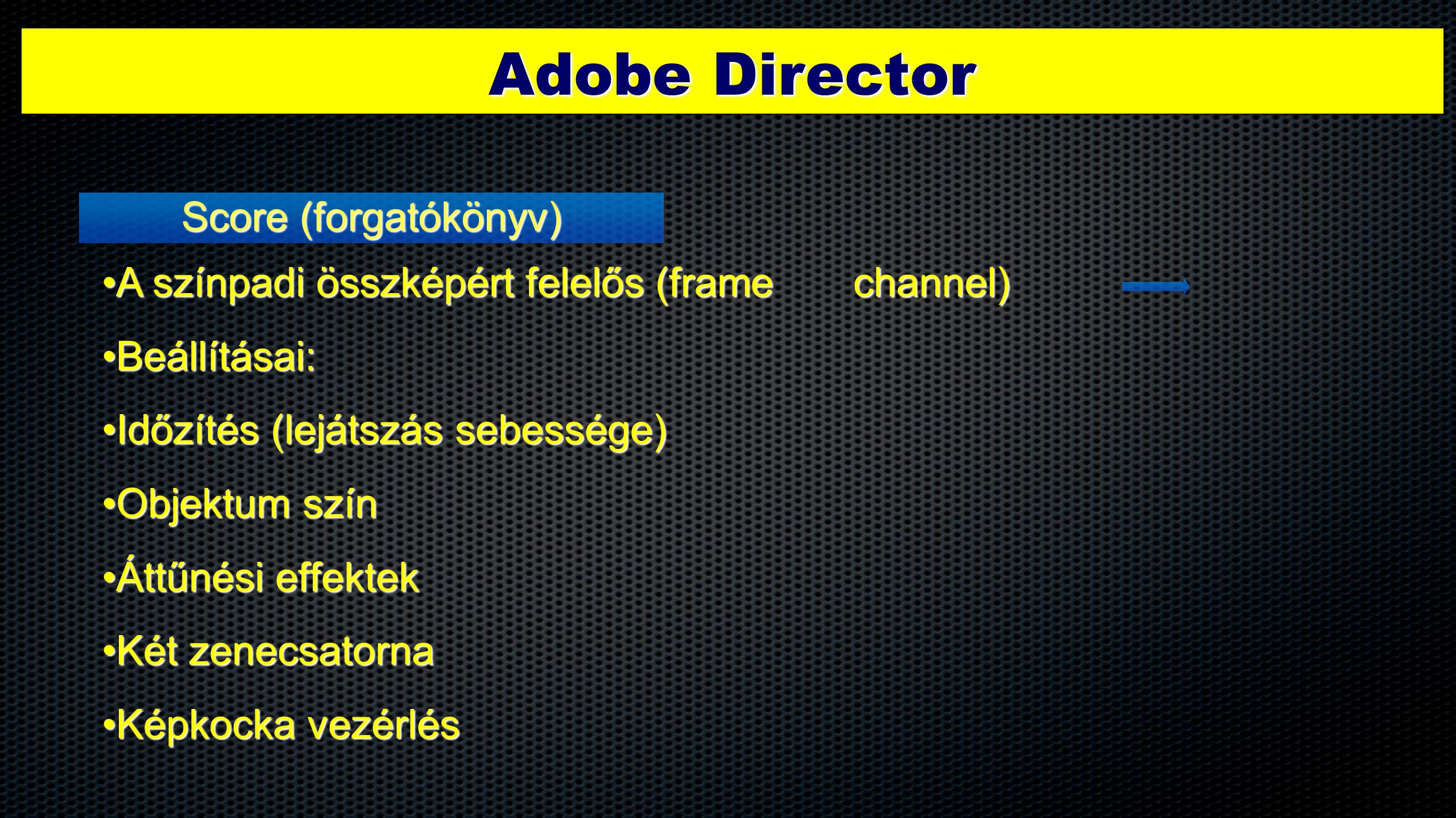 Adobe Director Score (forgatókönyv)