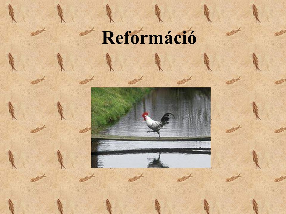 Reformáció