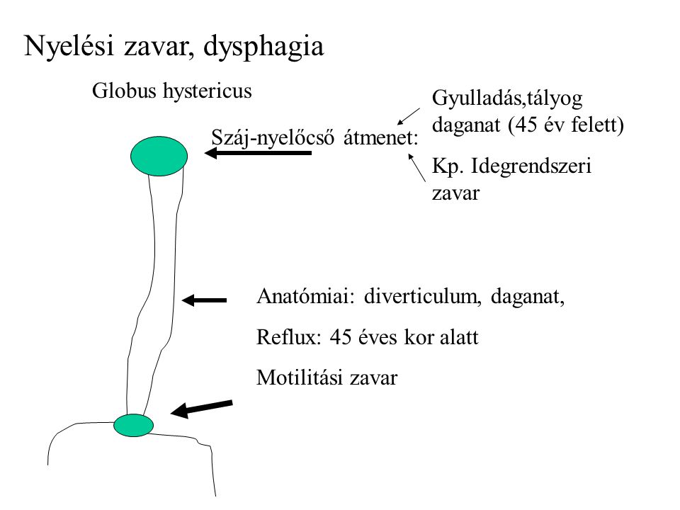 helminthiasis ascariasis a nemi szemölcsök fájdalommentes eltávolítása