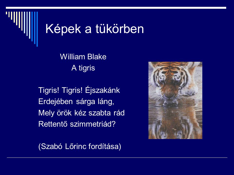 Képek a tükörben William Blake A tigris Tigris! Tigris! Éjszakánk