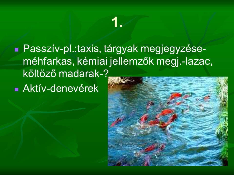 1. Passzív-pl.:taxis, tárgyak megjegyzése-méhfarkas, kémiai jellemzők megj.-lazac, költöző madarak-