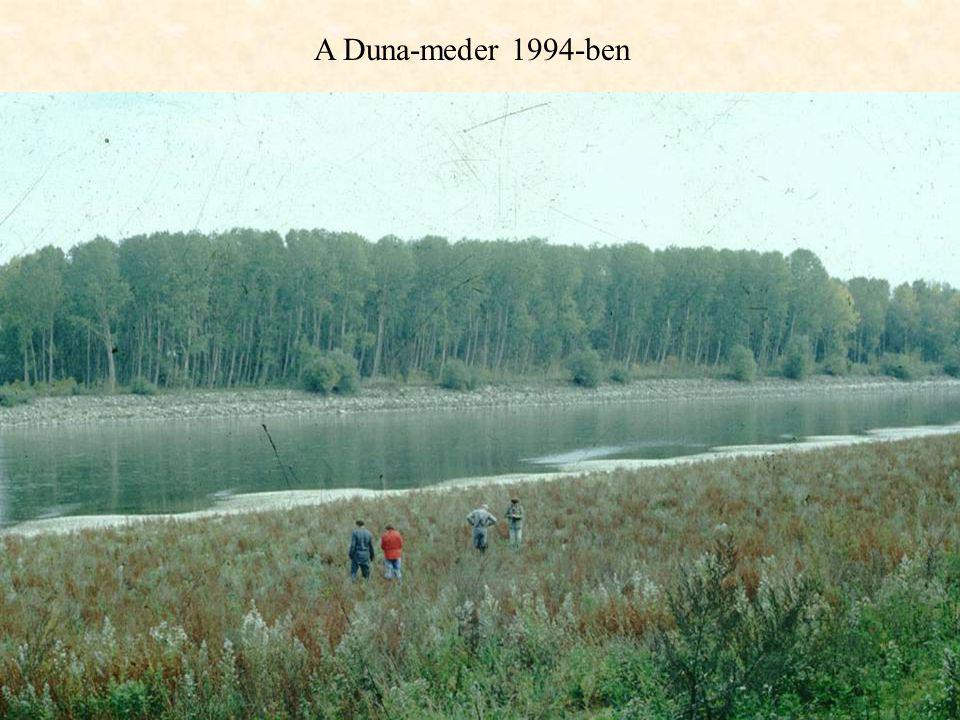 A Duna-meder 1994-ben