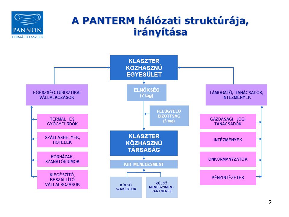 A PANTERM hálózati struktúrája, irányítása
