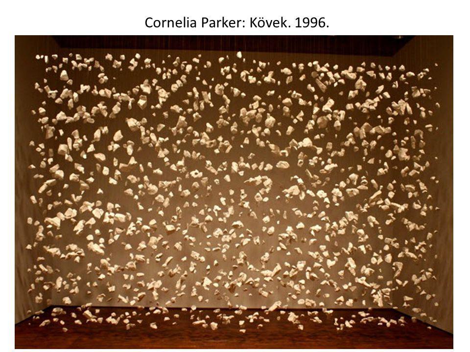 Cornelia Parker: Kövek