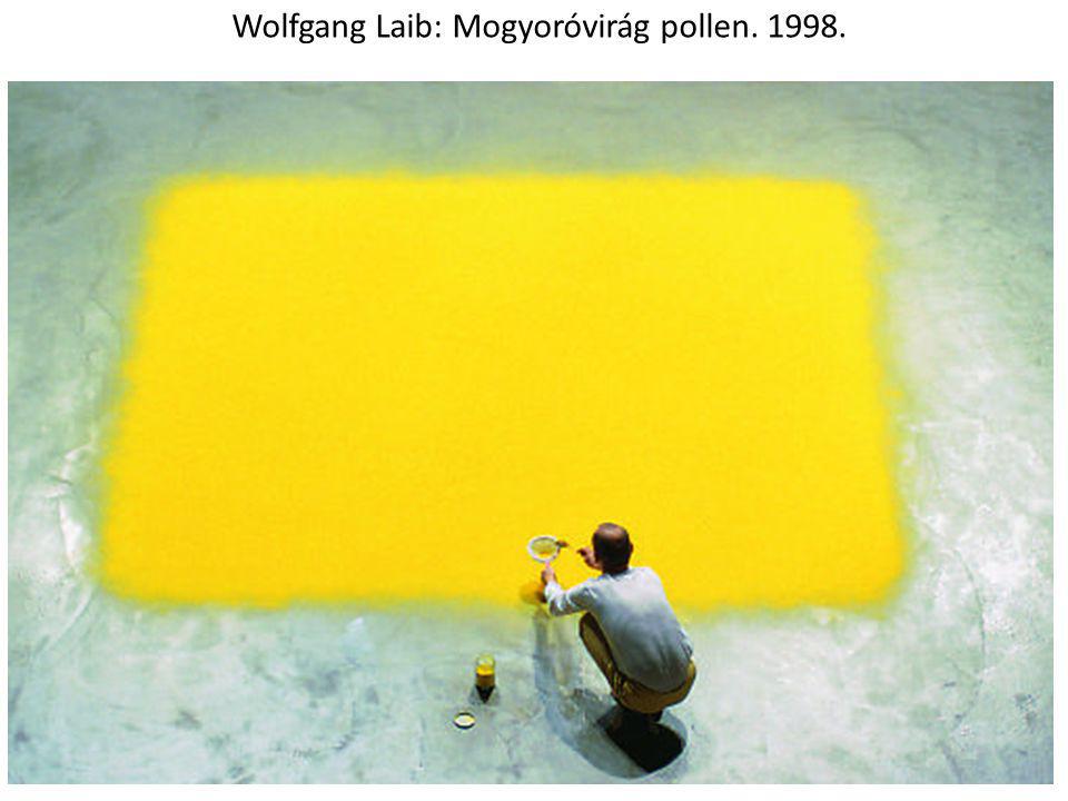 Wolfgang Laib: Mogyoróvirág pollen
