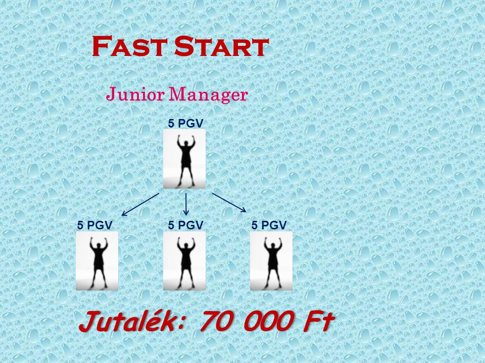 Fast Start Junior Manager 5 PGV 5 PGV 5 PGV 5 PGV Jutalék: Ft