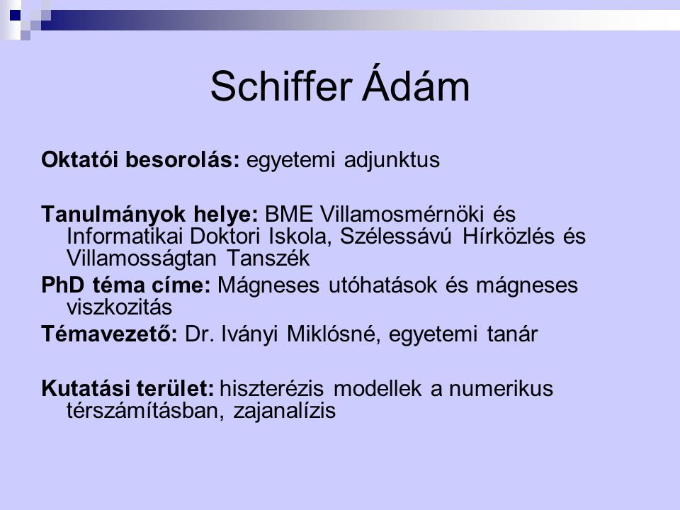 Schiffer Ádám Oktatói besorolás: egyetemi adjunktus