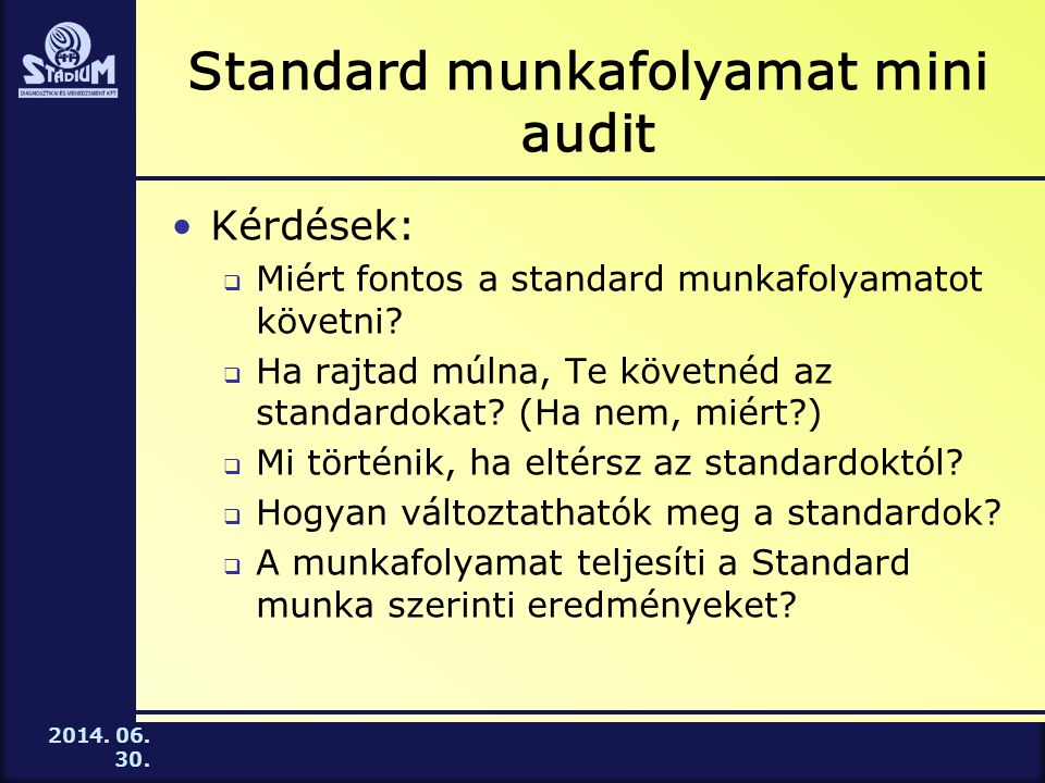 Standard munkafolyamat mini audit