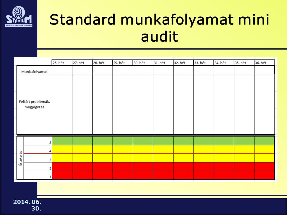 Standard munkafolyamat mini audit