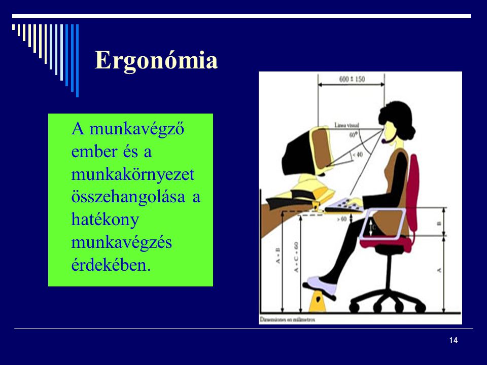 Ergonómia A munkavégző ember és a munkakörnyezet összehangolása a hatékony munkavégzés érdekében.