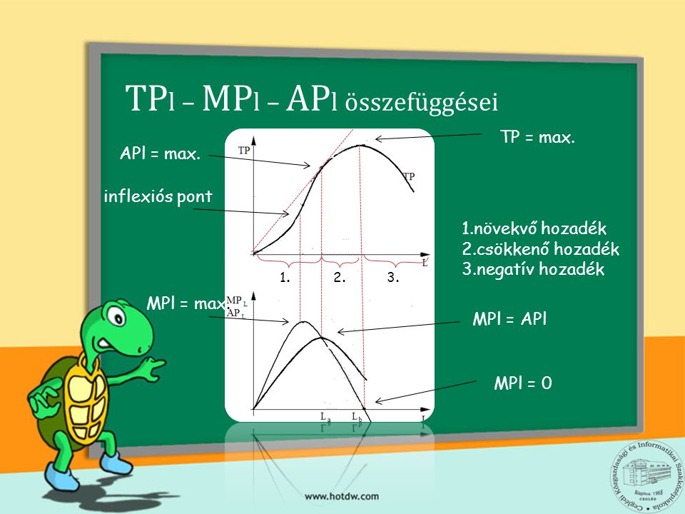 TPl – MPl – APl összefüggései