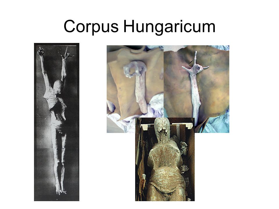 Corpus Hungaricum