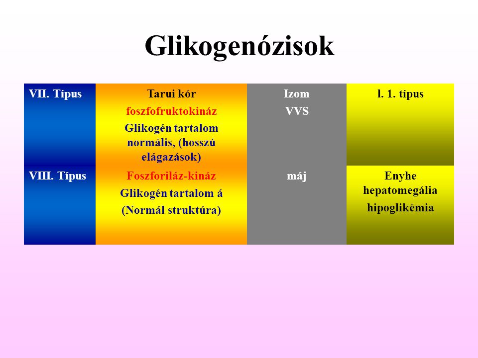 Glikogén tartalom normális, (hosszú elágazások)