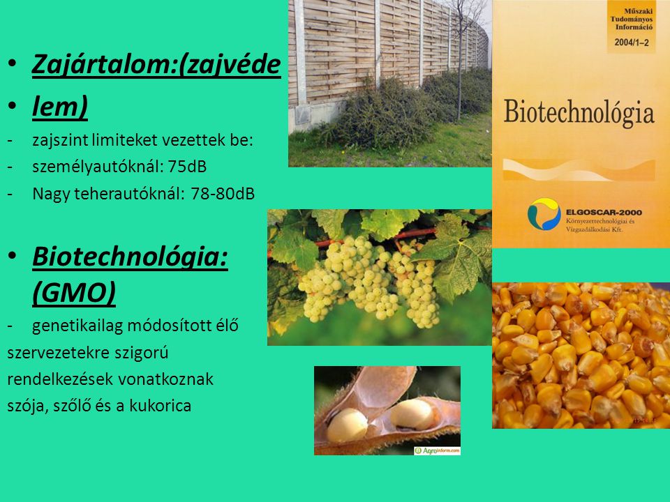 Biotechnológia: (GMO)
