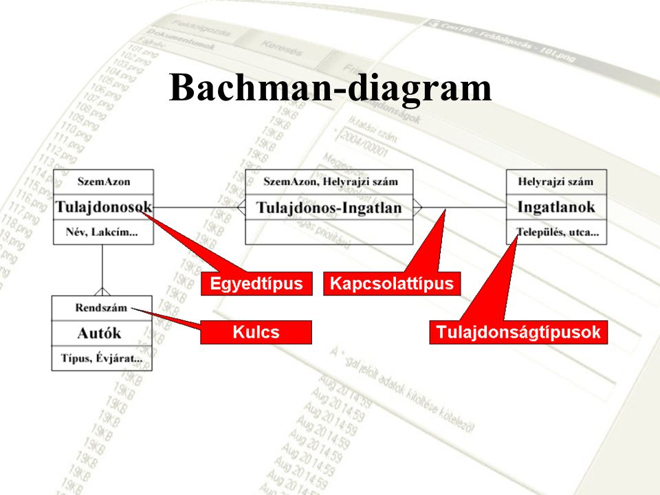 Bachman-diagram