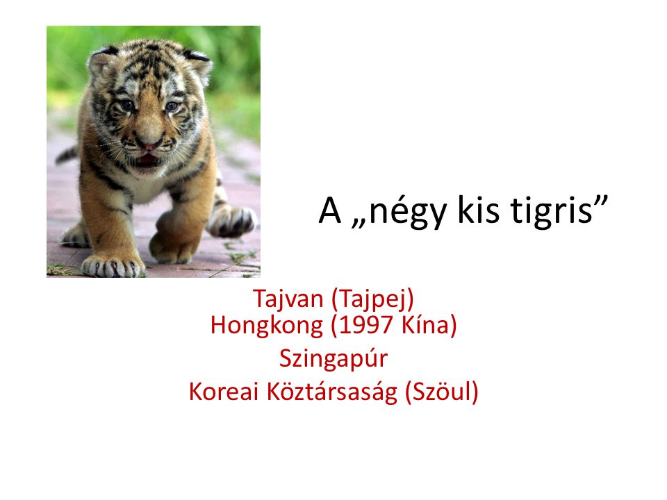A „négy kis tigris Tajvan (Tajpej) Hongkong (1997 Kína) Szingapúr