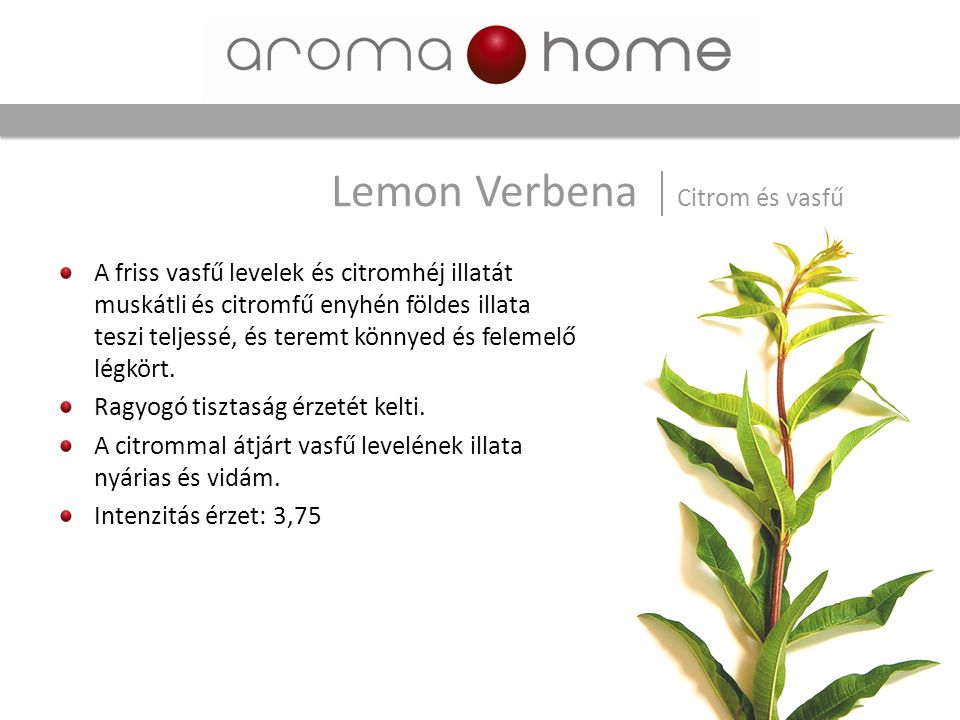 Lemon Verbena Citrom és vasfű